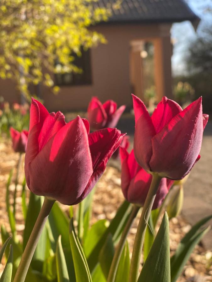 Borgdal Bed & Breakfast Silkeborg Bagian luar foto